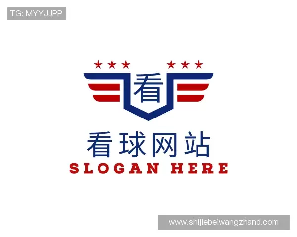 了解看球网站